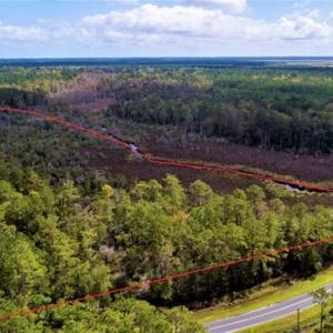 Photo of REDUCED! 17.82 Acres of Hunting Land for Sale in Pamlico County NC!