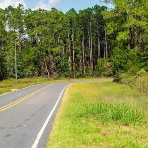 Photo of REDUCED! 17.82 Acres of Hunting Land for Sale in Pamlico County NC!