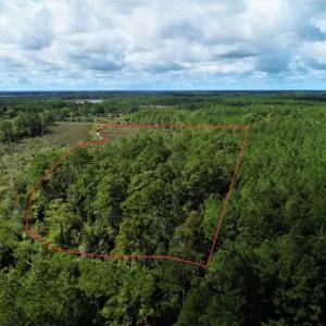 Photo of REDUCED! 17.82 Acres of Hunting Land for Sale in Pamlico County NC!