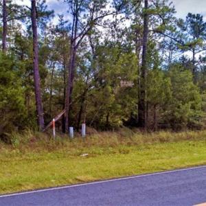 Photo of REDUCED! 17.82 Acres of Hunting Land for Sale in Pamlico County NC!