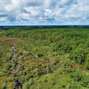 Photo of REDUCED! 17.82 Acres of Hunting Land for Sale in Pamlico County NC!