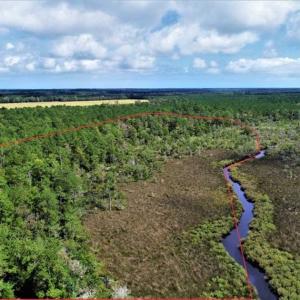 Photo of REDUCED! 17.82 Acres of Hunting Land for Sale in Pamlico County NC!