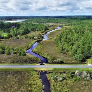 Photo of REDUCED! 17.82 Acres of Hunting Land for Sale in Pamlico County NC!