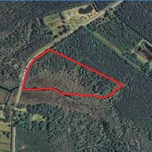 Photo of REDUCED! 17.82 Acres of Hunting Land for Sale in Pamlico County NC!