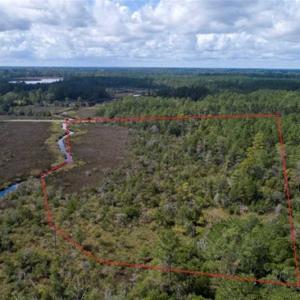 Photo of REDUCED! 17.82 Acres of Hunting Land for Sale in Pamlico County NC!