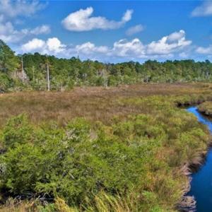 Photo of REDUCED! 17.82 Acres of Hunting Land for Sale in Pamlico County NC!