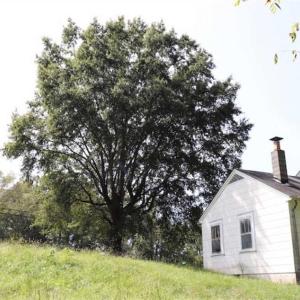 Photo of 7.85 Acres of Land with Home For Sale in Caswell County NC!