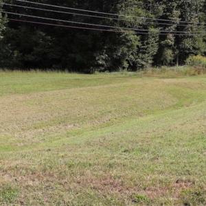Photo of 7.85 Acres of Land with Home For Sale in Caswell County NC!