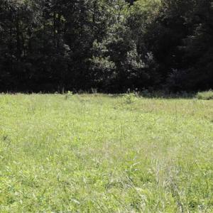 Photo of 7.85 Acres of Land with Home For Sale in Caswell County NC!
