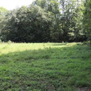 Photo of 7.85 Acres of Land with Home For Sale in Caswell County NC!