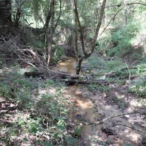 Photo of 7.85 Acres of Land with Home For Sale in Caswell County NC!