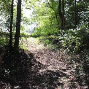 Photo of 7.85 Acres of Land with Home For Sale in Caswell County NC!