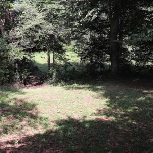 Photo of 7.85 Acres of Land with Home For Sale in Caswell County NC!