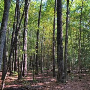 Photo of 0.75 Acres of Residential Land for Sale in Richmond County VA!