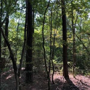 Photo of 0.75 Acres of Residential Land for Sale in Richmond County VA!
