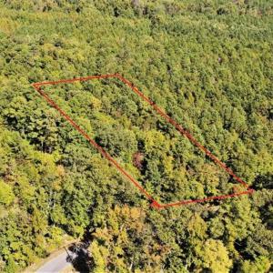Photo of 0.75 Acres of Residential Land for Sale in Richmond County VA!