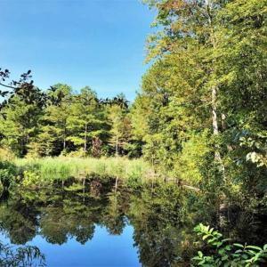Photo of 0.71 Acres of Residential Land for Sale in Richmond County VA!