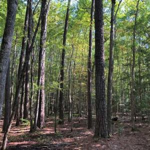 Photo of 0.71 Acres of Residential Land for Sale in Richmond County VA!