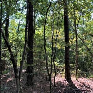 Photo of 0.71 Acres of Residential Land for Sale in Richmond County VA!
