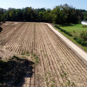 Photo of UNDER CONTRACT!!  31 Acre Timber and Farm Land for Sale in Bertie County NC!