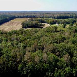 Photo of UNDER CONTRACT!!  31 Acre Timber and Farm Land for Sale in Bertie County NC!