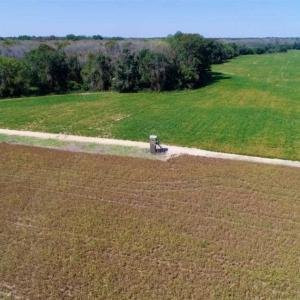 Photo of UNDER CONTRACT!!  31 Acre Timber and Farm Land for Sale in Bertie County NC!