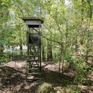 Photo of UNDER CONTRACT!!  31 Acre Timber and Farm Land for Sale in Bertie County NC!