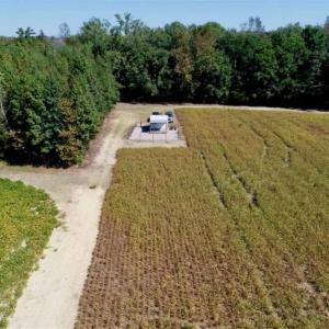 Photo of UNDER CONTRACT!!  31 Acre Timber and Farm Land for Sale in Bertie County NC!