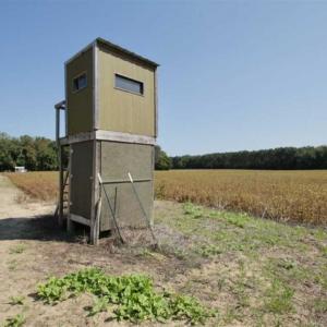 Photo of UNDER CONTRACT!!  31 Acre Timber and Farm Land for Sale in Bertie County NC!