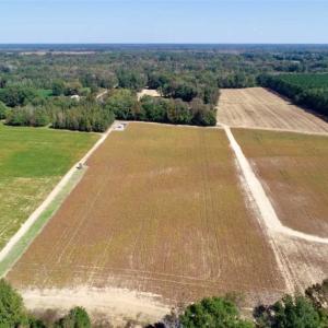 Photo of UNDER CONTRACT!!  31 Acre Timber and Farm Land for Sale in Bertie County NC!