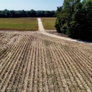 Photo of UNDER CONTRACT!!  31 Acre Timber and Farm Land for Sale in Bertie County NC!