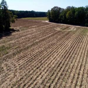 Photo of UNDER CONTRACT!!  31 Acre Timber and Farm Land for Sale in Bertie County NC!