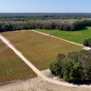 Photo of UNDER CONTRACT!!  31 Acre Timber and Farm Land for Sale in Bertie County NC!