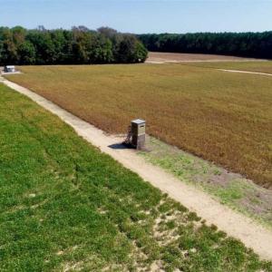 Photo of UNDER CONTRACT!!  31 Acre Timber and Farm Land for Sale in Bertie County NC!