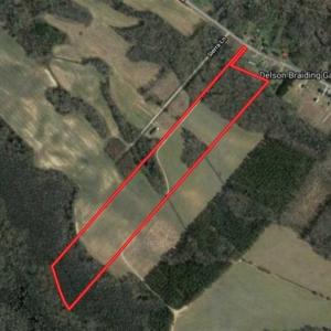Photo of UNDER CONTRACT!!  31 Acre Timber and Farm Land for Sale in Bertie County NC!