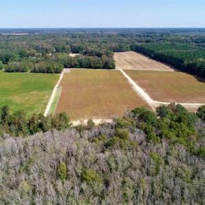Photo of UNDER CONTRACT!!  31 Acre Timber and Farm Land for Sale in Bertie County NC!
