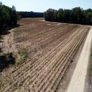 Photo of UNDER CONTRACT!!  31 Acre Timber and Farm Land for Sale in Bertie County NC!