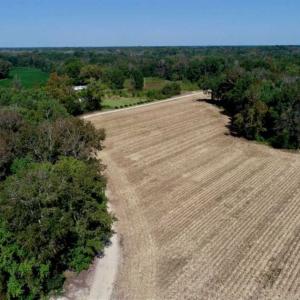 Photo of UNDER CONTRACT!!  31 Acre Timber and Farm Land for Sale in Bertie County NC!