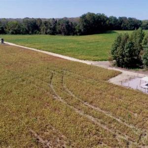 Photo of UNDER CONTRACT!!  31 Acre Timber and Farm Land for Sale in Bertie County NC!