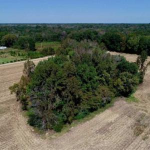 Photo of UNDER CONTRACT!!  31 Acre Timber and Farm Land for Sale in Bertie County NC!