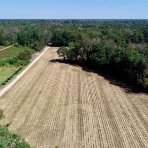 Photo of UNDER CONTRACT!!  31 Acre Timber and Farm Land for Sale in Bertie County NC!
