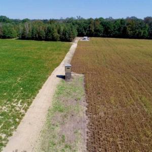 Photo of UNDER CONTRACT!!  31 Acre Timber and Farm Land for Sale in Bertie County NC!