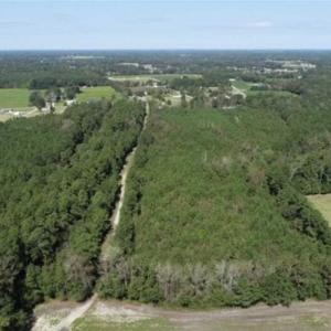 Photo of 20.23 Acres of Hunting and Residential Land For Sale in Robeson County NC!