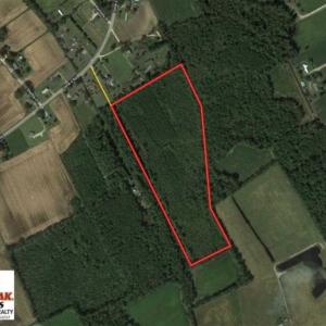 Photo of 20.23 Acres of Hunting and Residential Land For Sale in Robeson County NC!