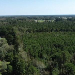 Photo of 20.23 Acres of Hunting and Residential Land For Sale in Robeson County NC!