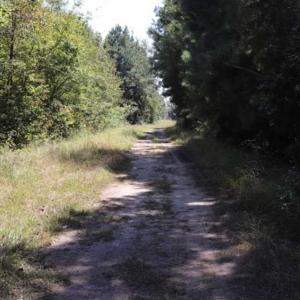 Photo of 20.23 Acres of Hunting and Residential Land For Sale in Robeson County NC!