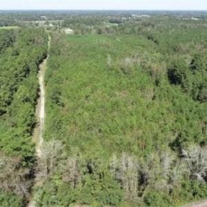Photo of 20.23 Acres of Hunting and Residential Land For Sale in Robeson County NC!