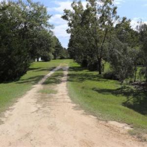 Photo of 20.23 Acres of Hunting and Residential Land For Sale in Robeson County NC!