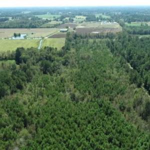 Photo of 20.23 Acres of Hunting and Residential Land For Sale in Robeson County NC!
