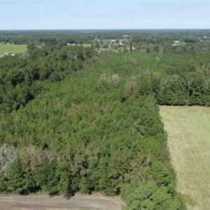 Photo of 20.23 Acres of Hunting and Residential Land For Sale in Robeson County NC!